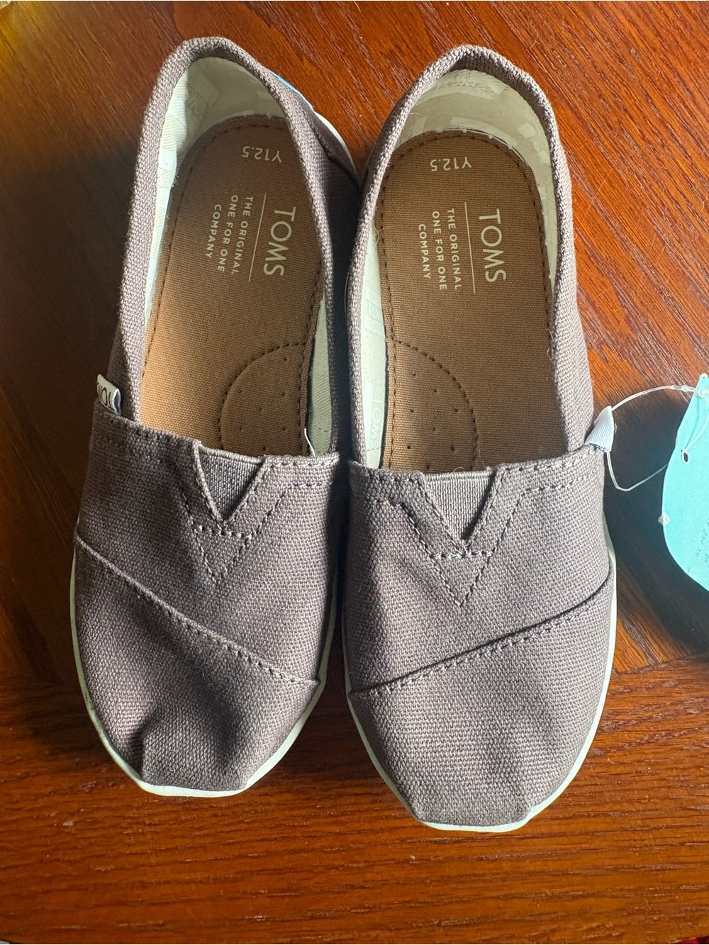 TOMS Kids Brown Canvas Slip-On Sneakers